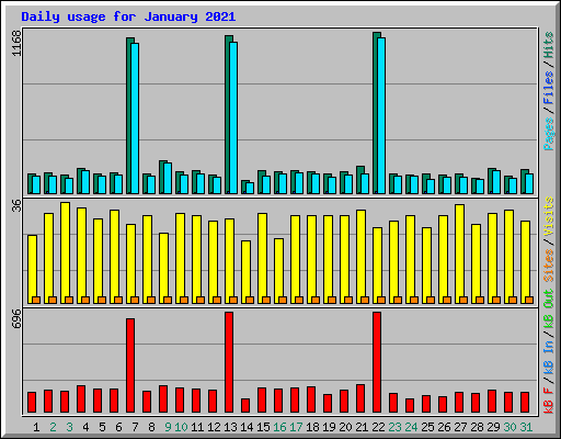 Daily usage for January 2021