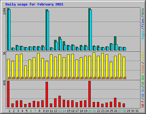 Daily usage for February 2021