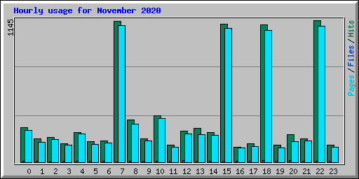 Hourly usage for November 2020