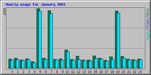 Hourly usage for January 2021