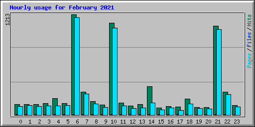 Hourly usage for February 2021