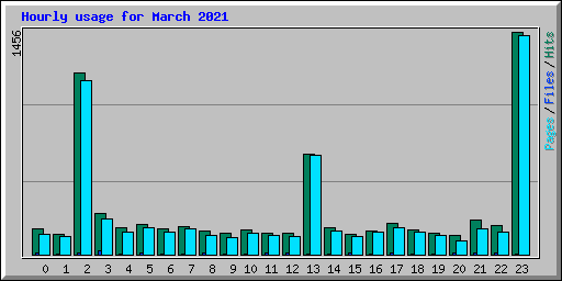 Hourly usage for March 2021