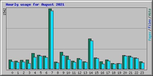 Hourly usage for August 2021