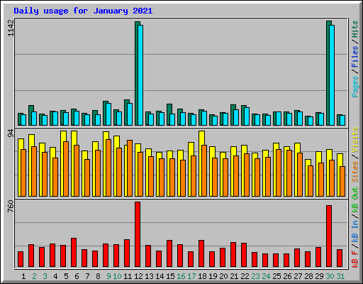 Daily usage for January 2021