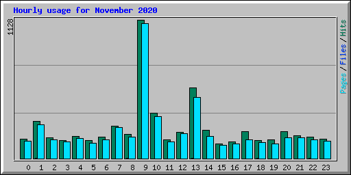 Hourly usage for November 2020