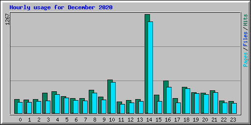 Hourly usage for December 2020