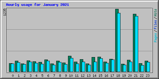 Hourly usage for January 2021