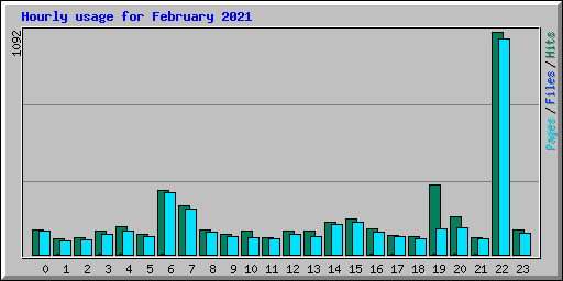 Hourly usage for February 2021