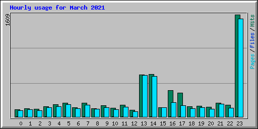 Hourly usage for March 2021