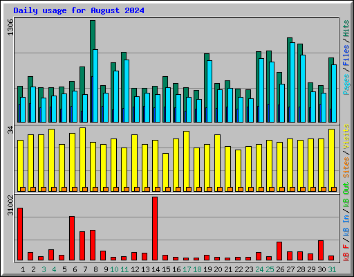 Daily usage for August 2024