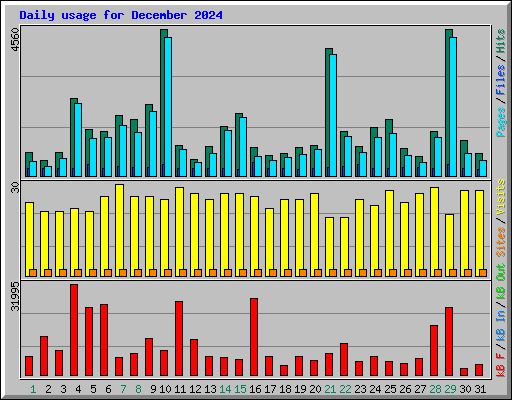 Daily usage for December 2024