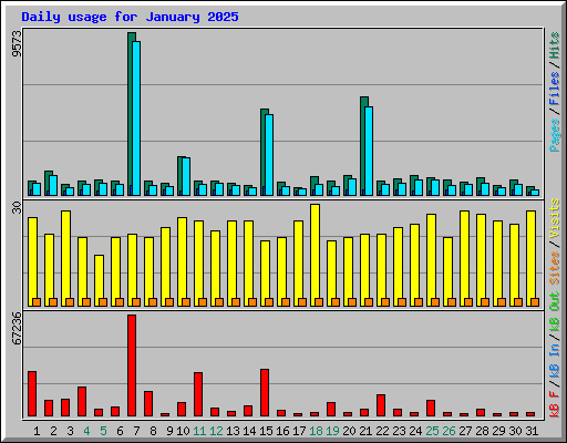 Daily usage for January 2025