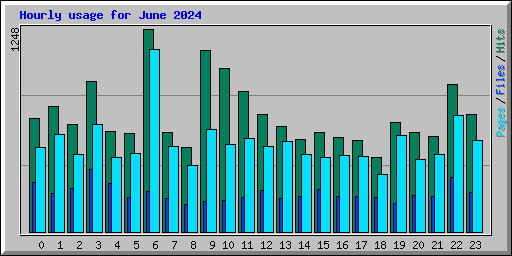 Hourly usage for June 2024