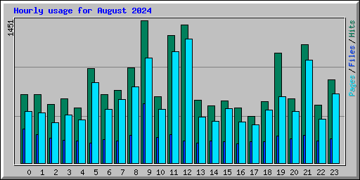 Hourly usage for August 2024