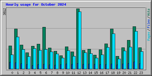 Hourly usage for October 2024