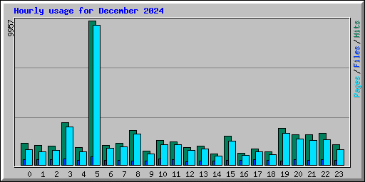 Hourly usage for December 2024