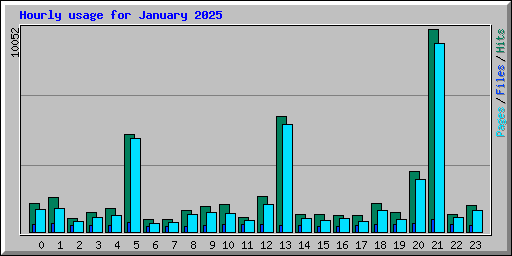 Hourly usage for January 2025