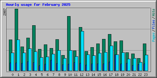 Hourly usage for February 2025