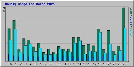 Hourly usage for March 2025