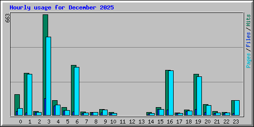 Hourly usage for December 2025