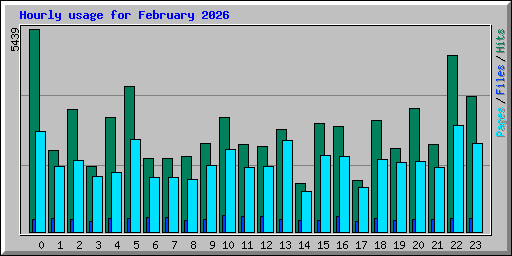 Hourly usage for February 2026